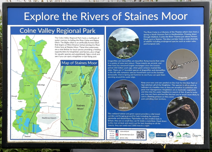 &lsquo;Explore the Rivers of Staines Moor. Colne Valley Regional Park&rsquo;.&rsquo; This section shows a map of the entire Colne Valley Regional Park with a pop-out showing the location of Staines Moor. &lsquo;The Colne Valley Regional Park hosts a multitude of water courses, including the River Colne and Bigley Ditch. The Bigley ditch is an artificially formed ditch that begins at West Dayton before joining the River Colne here at Staines Moor. These blue waterways are a vital lifeline for local species providing a feeding opportunities for kingfishers and herons, plus refuge for aquatic species and amphibians. Take a stroll and see if you can spot a kingfisher or bat flying past.&rsquo; The next section comprises four images and associated descriptions. An image of the River Colne. &lsquo;The River Colne is a tributary of the Thames which rises from a spring in North Mymms Park in Hertfordshire. Flowing down through Watford, it joins the River Thames just above Penton Hook Lock in Staines. This blue corridor hosts a wide diversity of wildlife including endangered species such as water voles and European eels.&rsquo; An photo of a Dragonfly. &lsquo;Dragonflies and damselflies are beautiful, flying insects that come in a variety of sizes and colours. These insects are ancient, and their form has remained largely unchanged since the Jurassic period 250 million years ago, when giant versions roamed the skies. There are 57 recorded species of dragonflies and damselflies in the UK with numerous species found here such as the banded demoiselle. Visit in Spring and Summer to see if you can spot them zooming around the water edge.&rsquo; A photo of a Kingfisher. &lsquo;Keep your eyes and ears peeled on the river for the blue flash of high-pitched call of the Kingfisher. This species if often used as an indicator of a healthy river as they are sensitive to pollution and poor river management. Kingfishers sit on bankside vegetation and dive into the water headfirst in search of fish. If you&rsquo;re lucky you may see them perched like this but you&rsquo;re much more likely to catch a fleeting glimpse as they zoom past patrolling their territory.&rsquo; A photo of a Pipistrelle Bat. &lsquo;This wetland habitat and green spaces provides a vital travel corridor and foraging ground for bats including the soprano pipistrelle and daubentons. Pipistrelles are the smallest bats in Britain, they are so small they can fit inside a matchbox. Head down to the river at dusk and watch out for bats feasting on all the insects, they can easily eat 3,000 insects a night.&rsquo; &lsquo;Follow us on social media: facebook.com/colnevalleypark Instagram @colnevalleyregionalpark Twiiter @Colne_valley&rsquo; The logos of Thames Water, Grundon, Colne Valley Regional Park, Groundworx, Spelthorne and National Lottery Heritage Fund.