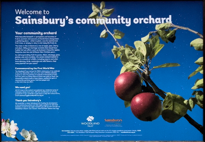 Sainsbury&rsquo;s Community Orchard