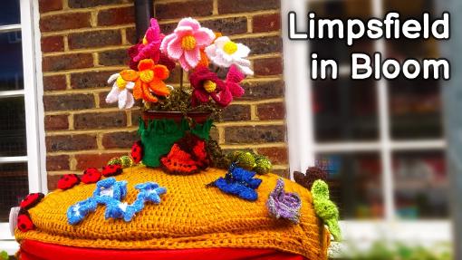 Limpsfield High St in Bloom