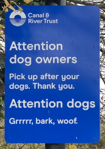 Attention Dogs
