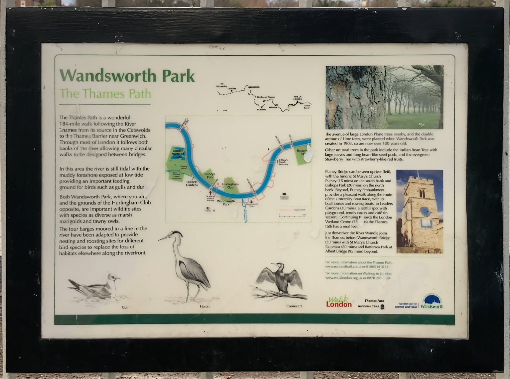 Wandsworth Park - The Thames Path