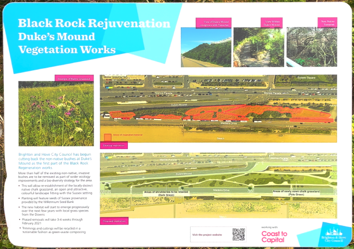 Black Rock Rejuvenation - Duke&rsquo;s Mound