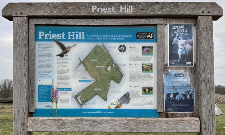 Priest Hill