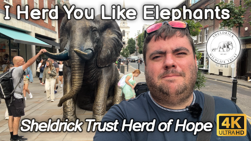 The Elephants of Spitalfields Market and the Sheldrick Trusts