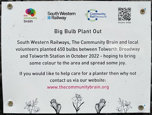 Big Bulb Plant Out. South Western Railways, The Community Brain and local volunteers planted 650 bulbs between Tolworth Broadway and Tolworth Station in October 2022 - hoping to bring some colour to the area and spread some joy. If you would like to help care for a planter then why not contact us via our website: www.thecommunitybrain.org